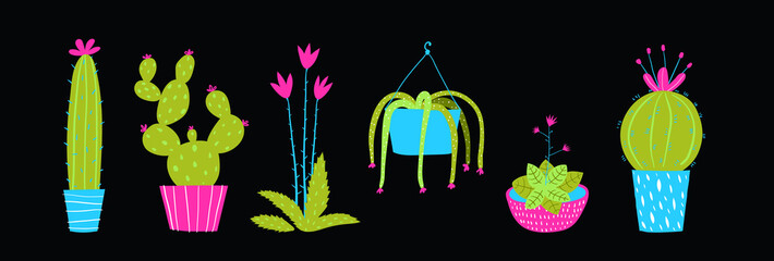 Cactus and succulets on black background isolated clip art.