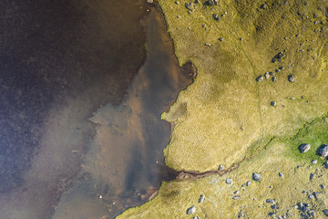 aerial view of pond and green nature