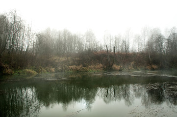Forest landscape with a river. Early morning mist over the water. Autumn or spring landscape. Quiet, mystical place