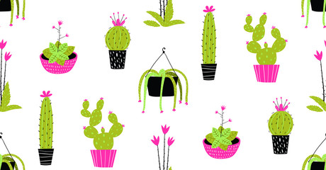 Cactus and succulent in pots seamless pattern background.