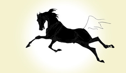 pen-drawn  image of a black silhouette of a galloping horse on a colored background