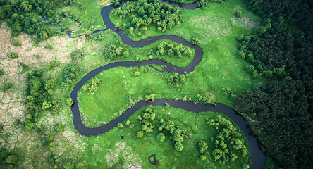 Aerial landscape - wild river in summer - obrazy, fototapety, plakaty