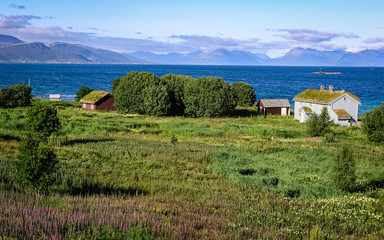 Obraz premium On the coast of the Norwegian fjord is house with a lawn roof.