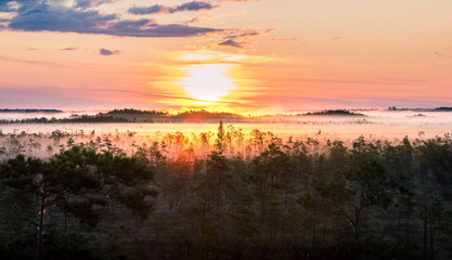 Warmly colored sunrise over a foggy swamp. Aerial view of stunning landscape at peat bog at Cenas Tirelis in Latvia. Wooden trail leading along the lake surrounded by pounds and forest. 