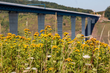 Obraz premium Eingriff in die Natur durch Brückenbau