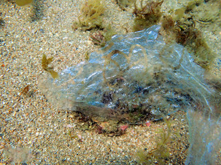 Plastic trash on the bottom of the ocean.