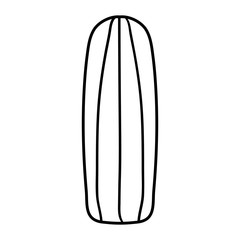 exotic cactu plant nature icon