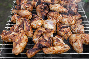 Chicken skewers on a metal grid