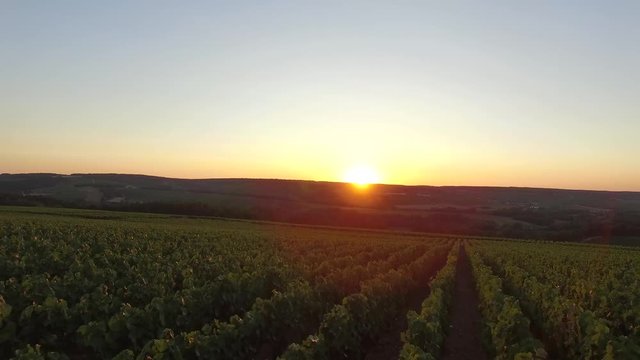 Aerial view of a sunset on a vineyard, Europe, France, Champagne, Aube, 4K