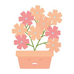 garden flowers plant in square pot kawaii character