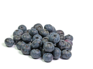 Heidelbeeren, Vaccinium, vor weißem Hintergrund