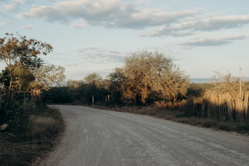 Fototapeta premium road in winter