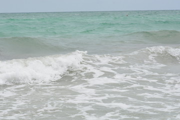 Sarasota Florida Waves and Sea gulls 