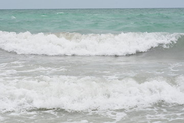 Sarasota Beach Waves, sea gulls