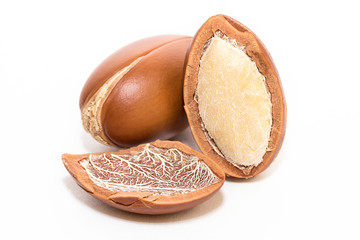 Argan nuts on white background