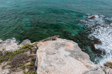 Isla Mujeres, Yucatan / Mexico - July, 23, 2019: Isla Mujers Beach Punta Sur