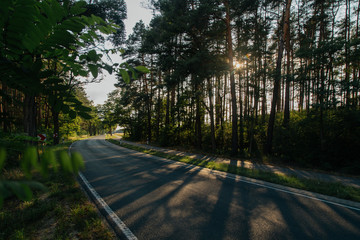Asphaltstraße durch Wald 3
