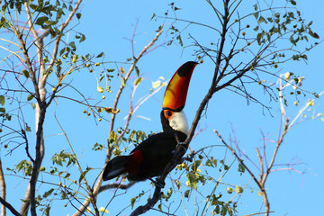 Chapada dos Veadeiros 