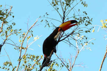 Chapada dos Veadeiros 