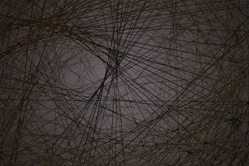 cobweb on a dark background, dark background