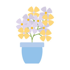 flowers garden in ceramic pot decoration