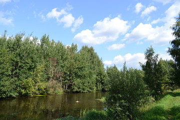 Summer sunny day. Beautiful view of a small river with trees and shrubs along the coast.