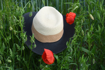 An image of a hat in three different colors (black, light brown and beige), fallen into the grass with poppies