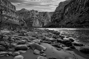 Black and white photo of the Grand Canyon, Arizona. - 281338539
