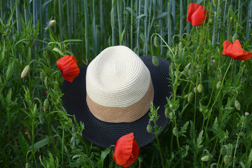 An image of a hat in three different colors (black, light brown and beige), fallen into the grass with poppies