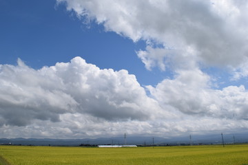 雲と青空 背景素材