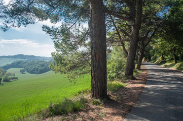 Panoramica Pesaro Misano Monte - the road above the Adriatic Sea in Italy