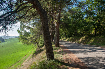 Panoramica Pesaro Misano Monte - the road above the Adriatic Sea in Italy