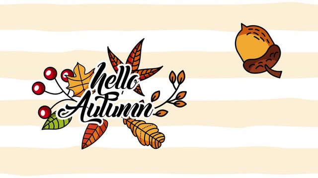 hello autumn season with leafs and seeds animation