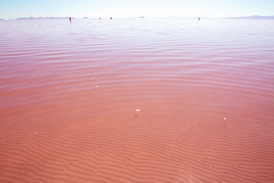 the pink water great salt lake utah love and romantic mineral salty water salt lake city utah