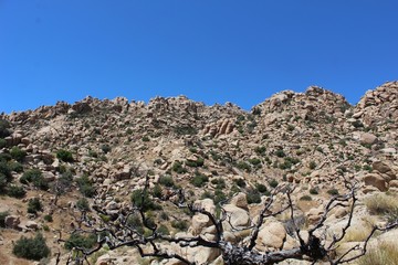 Rock formations near Pioneertown transition the Little and Big San Bernardino Mountains. Their minerals and structure help mother native plant communities of the of the Southern Mojave Desert.