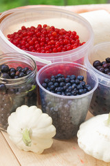 Berries from his garden. Garden berries. Berries from the bushes. Red currant black currant gooseberry. Variety of berries.