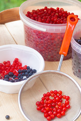 Berries from his garden. Garden berries. Berries from the bushes. Red currant black currant gooseberry. Variety of berries.