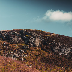 landscape in mountains