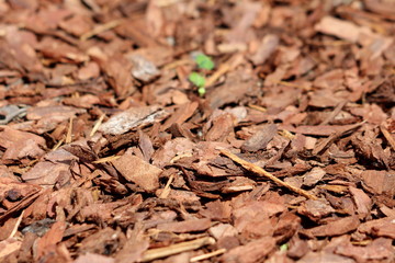 Decorative tree bark used to cover ground between flowers texture background wallpaper in local urban garden on warm sunny day