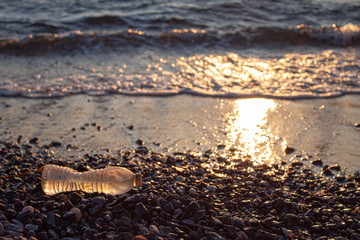 Litter on Beach sunset