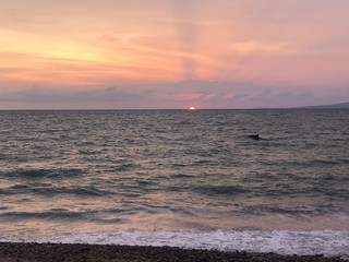 PEQUEÑO SOL EN EL HORIZONTE