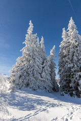 Winter landscape of Vitosha Mountain, Bulgaria