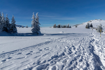 Winter landscape of Vitosha Mountain, Bulgaria