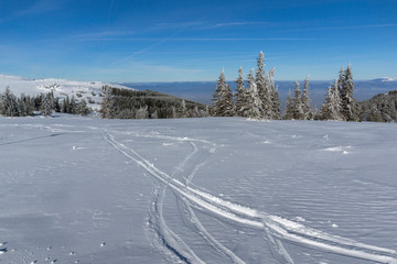 Obraz premium Winter landscape of Vitosha Mountain, Bulgaria
