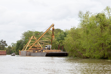 Louisiana Swamp Crane