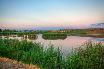Fototapeta na wymiar lake with green reed , evening scenery 