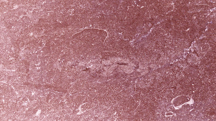 Texture © Alesia
