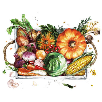Wooden Tray with Vegetables. Watercolor Illustration