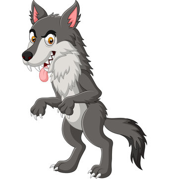 Cartoon angry wolf isolated on white background