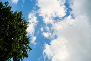 blue sky and white clouds